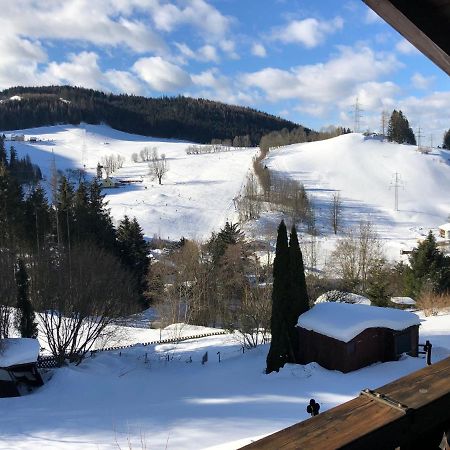 Apartment Fam. Zappe Steinhaus am Semmering Dış mekan fotoğraf